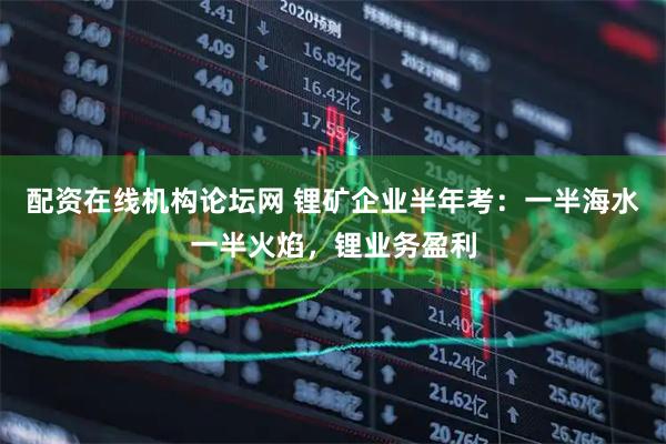 配资在线机构论坛网 锂矿企业半年考：一半海水一半火焰，锂业务盈利